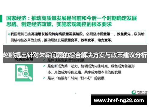 赵鹏提出针对欠薪问题的综合解决方案与政策建议分析