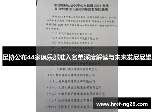 足协公布44家俱乐部准入名单深度解读与未来发展展望