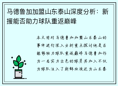 马德鲁加加盟山东泰山深度分析：新援能否助力球队重返巅峰